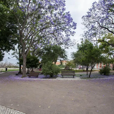 Apartamento Alfama, Ttl268